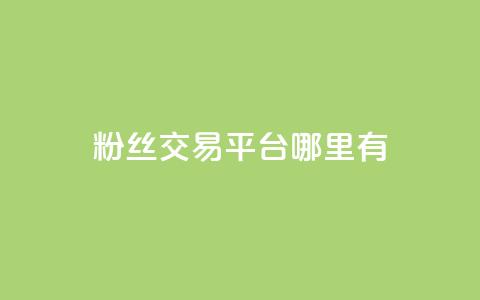 粉丝交易平台哪里有 - 哪里可以找到粉丝交易平台！  第1张