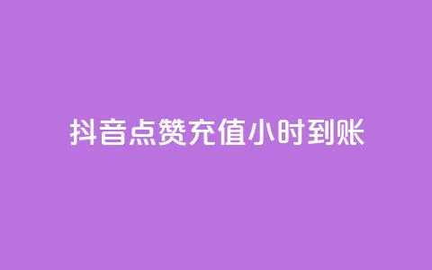 抖音点赞充值24小时到账,抖音二十四小时点赞自助平台 - 快手涨1万粉 ks业务最火的三个网站  第1张