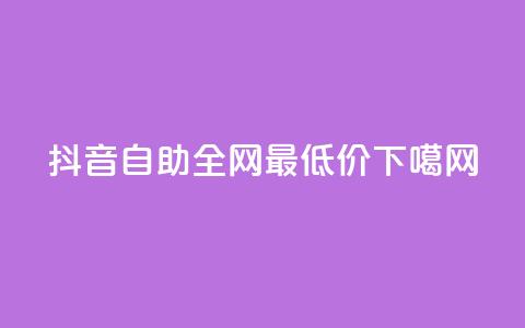 抖音自助24h全网最低价  第1张