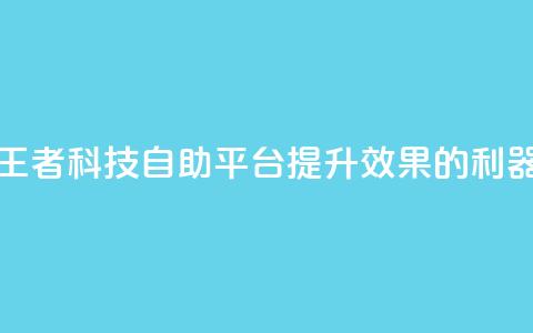 王者科技自助平台：提升SEO效果的利器  第1张