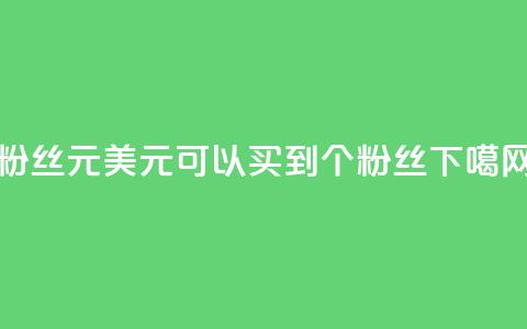 ks粉丝1元100 - 1美元可以买到100个KS粉丝! 第1张 ks粉丝1元100 - 1美元可以买到100个KS粉丝! 第1张