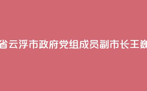 广东省云浮市政府党组成员、副市长王巍被查  第1张