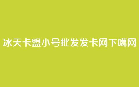 冰天卡盟 - vx小号批发发卡网  第1张