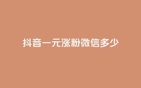 抖音一元涨粉1000微信多少 - 抖音一元涨粉1000，微信粉丝量将增加多少？!  第1张