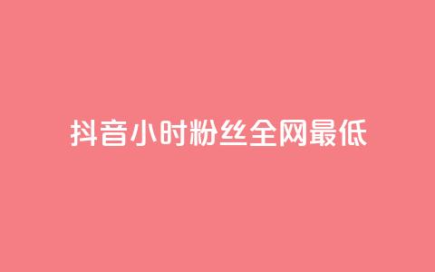 抖音24小时粉丝全网最低 - 抖音24小时内最少粉丝数量曝光~  第1张