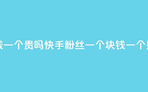 快手粉丝一块钱一个贵吗 - 快手粉丝一个块钱一个是否昂贵！  第1张