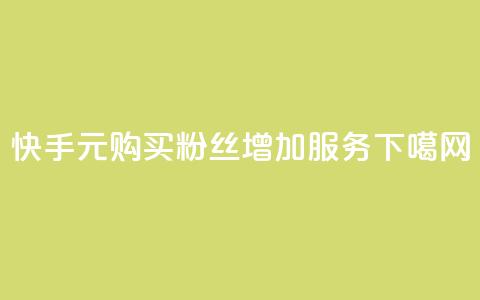 快手1元购买粉丝增加服务  第1张