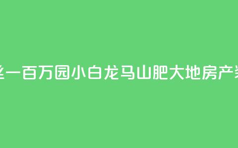 快手粉丝一百万0.01园小白龙马山肥大地房产装修网站,dy自定义评论业务 - qq说说赞低价下单 qq点赞业务  第1张