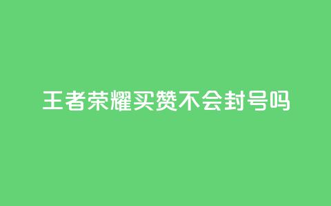 王者荣耀买赞不会封号吗 - 王者荣耀买赞是否会被封号？揭秘封号风险！~  第1张