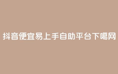抖音便宜易上手自助平台  第1张