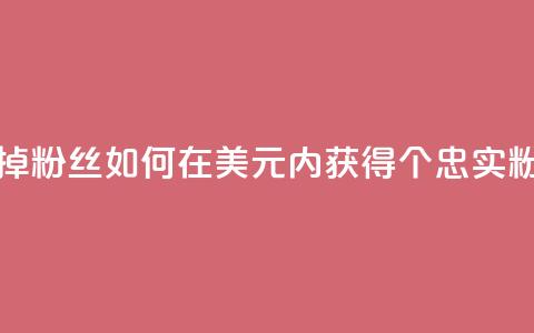 1元3000粉丝不掉粉丝 - 如何在1美元内获得3000个忠实粉丝？!  第1张