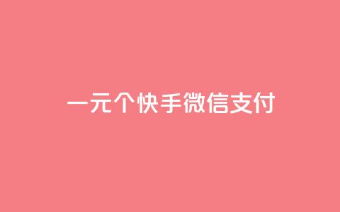 一元10个快手微信支付 - 快手点器怎样使用视频教程 第1张 一元10个快手微信支付 - 快手点器怎样使用视频教程 第1张