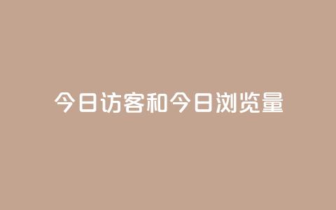 今日访客和今日浏览量 - 今日访问人数与页面浏览统计分析~  第1张