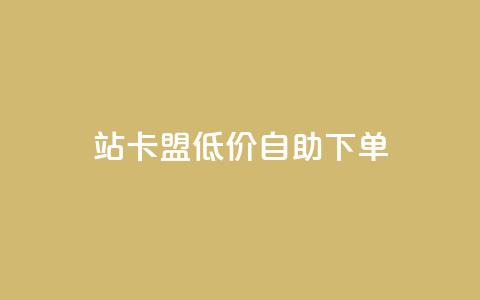 b站卡盟低价自助下单,辅助货源发卡网 - 拼多多如何卖助力 拼多多帮助力成功截图  第1张