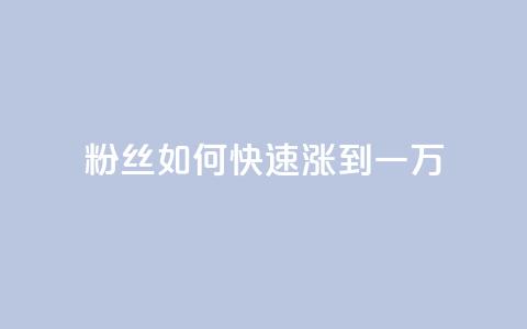 粉丝如何快速涨到一万,卡盟会员钻 - 拼多多低价助力 拼多多转盘助力50 第1张 粉丝如何快速涨到一万,卡盟会员钻 - 拼多多低价助力 拼多多转盘助力50 第1张