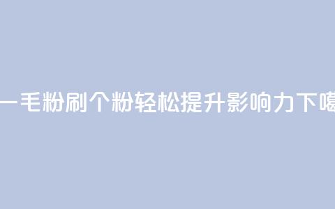 ks刷一毛1000粉(ks刷1000个粉	，轻松提升影响力)  第1张