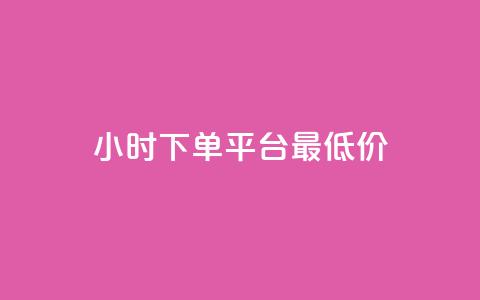 24小时下单平台最低价 - 发卡网联盟  第1张