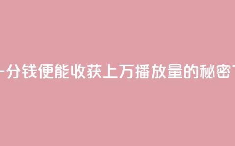 快手一分钱便能收获上万播放量的秘密 第1张 快手一分钱便能收获上万播放量的秘密 第1张