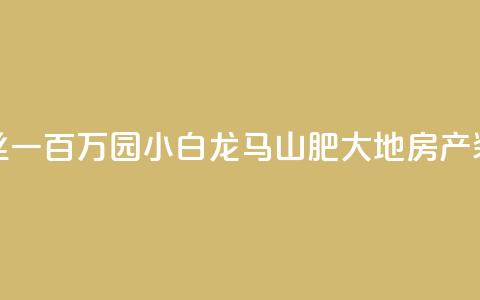 快手粉丝一百万0.01园小白龙马山肥大地房产装修网站,卡盟辅助网 - 抖音涨一个粉丝几块钱 抖音点赞诈骗套取个人信息  第1张
