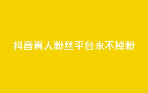 抖音真人粉丝平台 永不掉粉,qq云商城网站 - 拼多多帮砍助力网站便宜 暑假赚钱项目拼多多助力项目  第1张