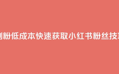 1元小红书秒刷1000粉 - 低成本快速获取小红书粉丝技巧揭秘。  第1张