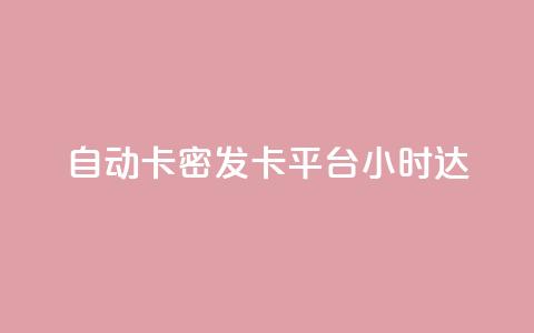 自动卡密发卡平台24小时达 第1张 自动卡密发卡平台24小时达 第1张
