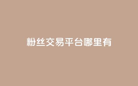 粉丝交易平台哪里有 - 哪里可以找到粉丝交易平台！  第1张
