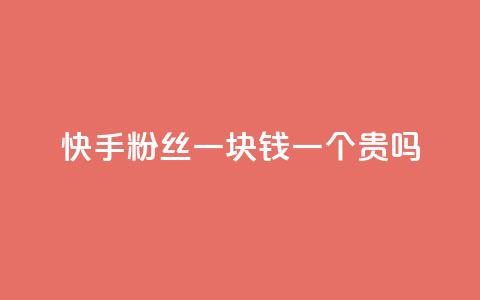 快手粉丝一块钱一个贵吗 - 快手粉丝一元一个是否值得购买解析!  第1张
