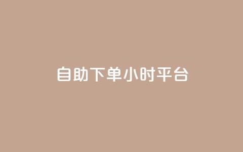 自助下单24小时平台,dy24小时在线下单 - 抖音卡盟全网最低价稳定卡盟 ks助力平台  第1张
