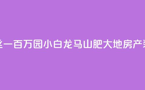 快手粉丝一百万0.01园小白龙马山肥大地房产装修网站,qq号自助下单平台 - 抖音业务下单24小时子子铺子 网红助手点赞  第1张