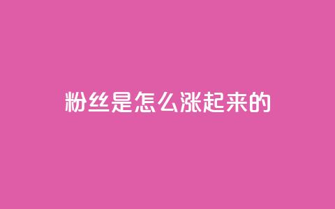 粉丝是怎么涨起来的,免费领取5000点券王者荣耀 - 拼多多帮砍助力软件 小程序刷好友助力软件 第1张 粉丝是怎么涨起来的,免费领取5000点券王者荣耀 - 拼多多帮砍助力软件 小程序刷好友助力软件 第1张