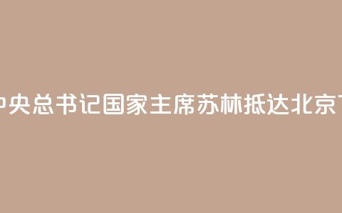 越共中央总书记、国家主席苏林抵达北京  第1张