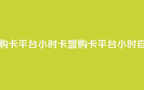 卡盟自助购卡平台24小时(卡盟购卡平台24小时自助)  第1张