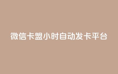 微信卡盟24小时自动发卡平台,qq免费说说浏览网址 - 快手赞 永久绿钻卡盟  第1张