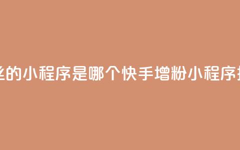 快手涨粉丝的小程序是哪个(快手增粉小程序推荐) 第1张 快手涨粉丝的小程序是哪个(快手增粉小程序推荐) 第1张