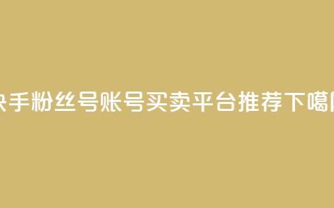 快手粉丝号账号买卖平台推荐  第1张