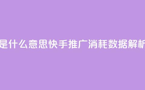 快手推广消耗数据是什么意思 - 快手推广消耗数据解析与意义解读！  第1张