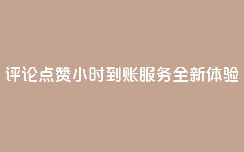 评论点赞24小时到账服务全新体验  第1张