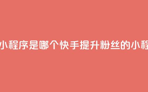 快手涨粉丝的小程序是哪个 - 快手提升粉丝的小程序推荐~ 第1张 快手涨粉丝的小程序是哪个 - 快手提升粉丝的小程序推荐~ 第1张