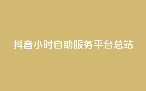 抖音24小时自助服务平台总站 - 抖音全天候自助服务平台一站式解决方案！  第1张