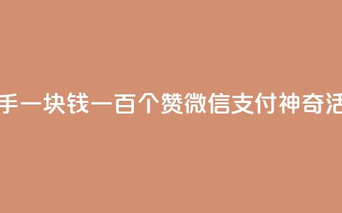 快手一块钱一百个赞微信支付神奇活动 第1张 快手一块钱一百个赞微信支付神奇活动 第1张