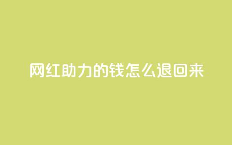 网红助力的钱怎么退回来 - 网红代言退款规则解析。  第1张