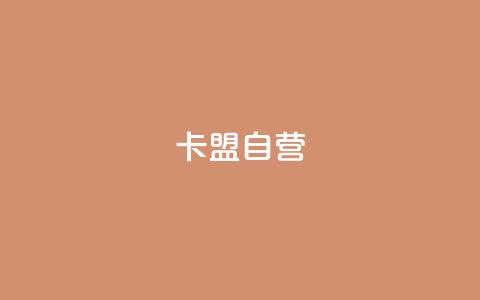 卡盟自营,快手播放量自助下载平台 - 快手ck24小时在线下单平台 dy业务下单24小时最低价  第1张