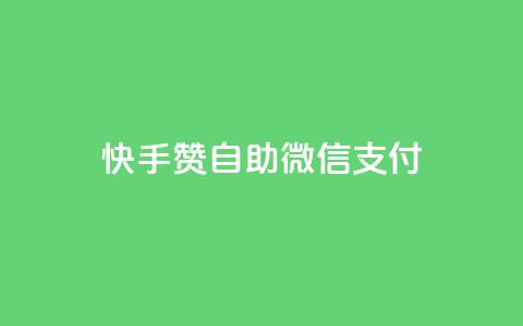 快手赞自助微信支付 - 快手赞微信支付自助操作指南! 第1张 快手赞自助微信支付 - 快手赞微信支付自助操作指南! 第1张