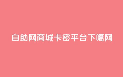 自助网商城卡密平台 第1张 自助网商城卡密平台 第1张