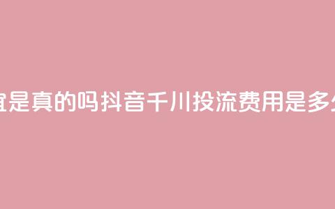 快手丝便宜是真的吗 - 抖音千川投流费用是多少钱  第1张