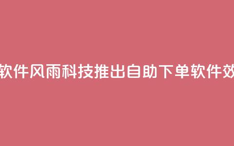 风雨科技自助下单软件 - 风雨科技推出自助下单软件，效率提升不止！~  第1张