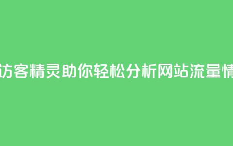 QQ访客精灵 - QQ访客精灵助你轻松分析网站流量情况!  第1张