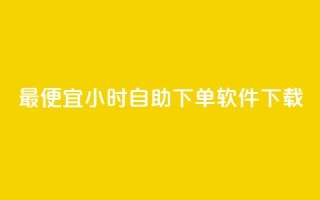最便宜24小时自助下单软件下载 - 最实惠的24小时自助下单软件立即下载。