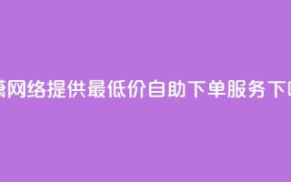 子潇网络提供最低价自助下单服务